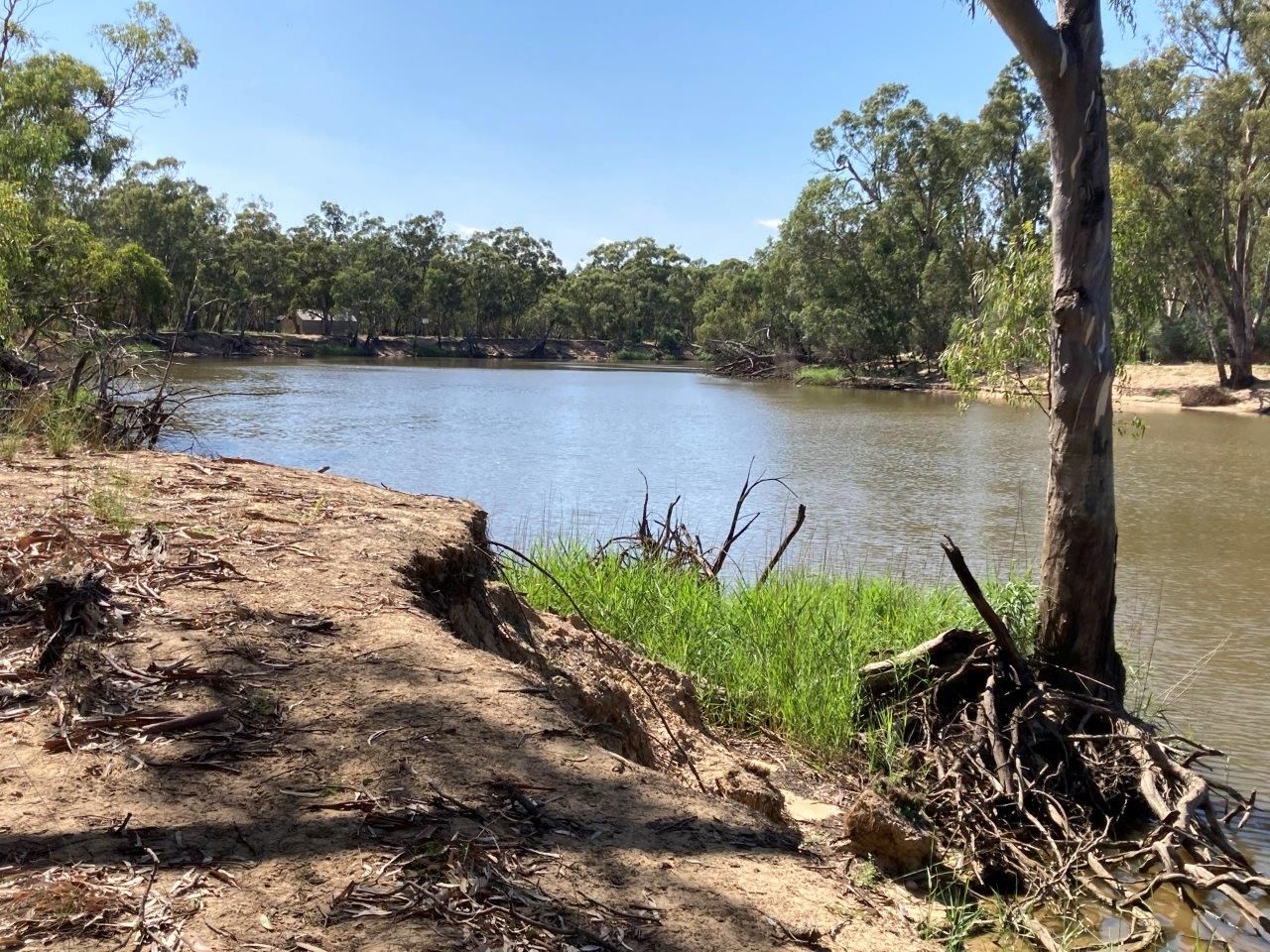 Sheepwash Lagoon Echuca Moama on the Murray Road, Moama NSW 2731