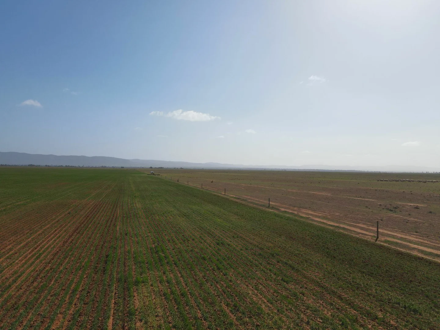Image 15