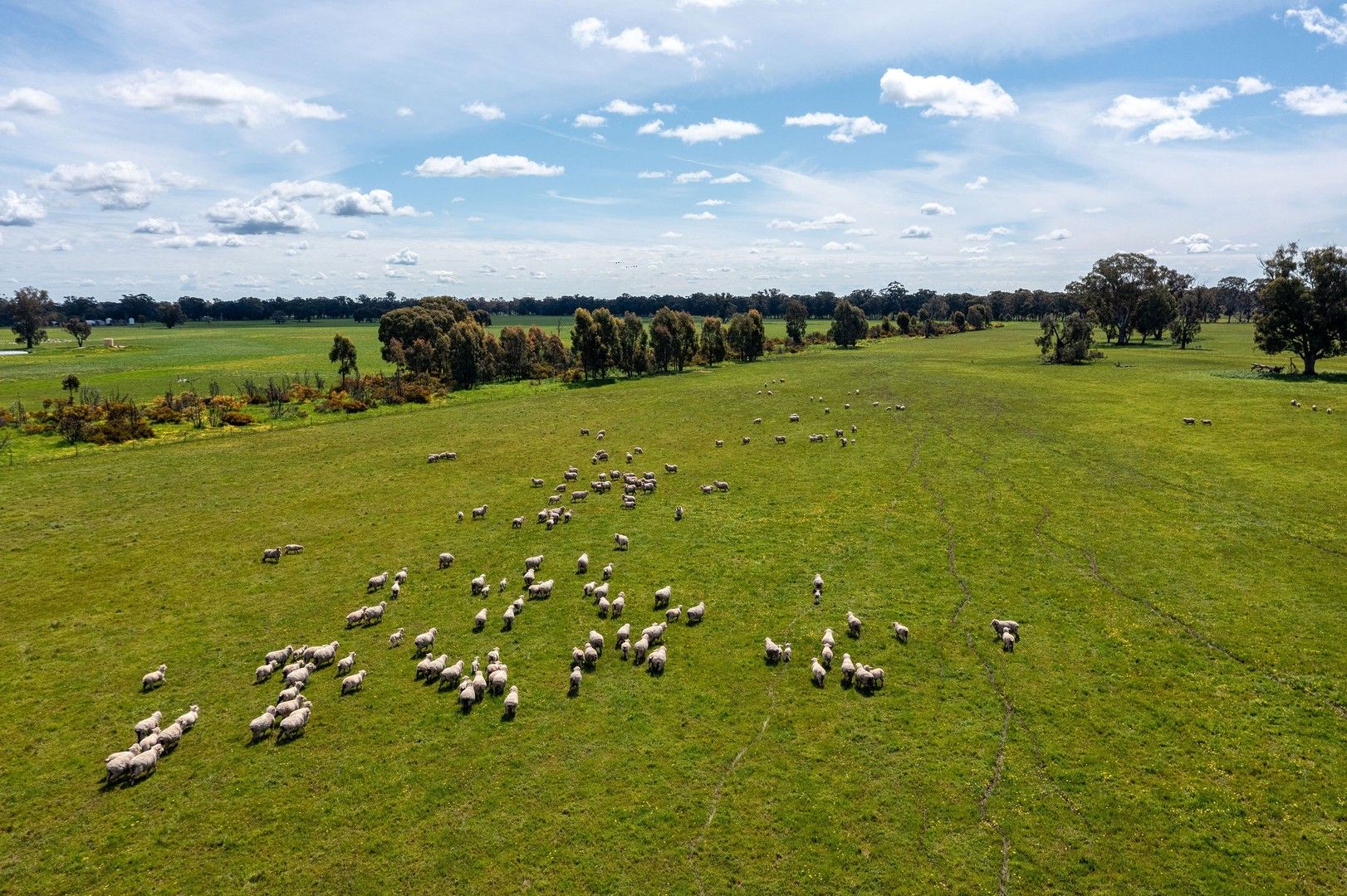 3 bedrooms Rural in 356 Longwood-Shepparton Road, Pranjip EUROA VIC, 3666