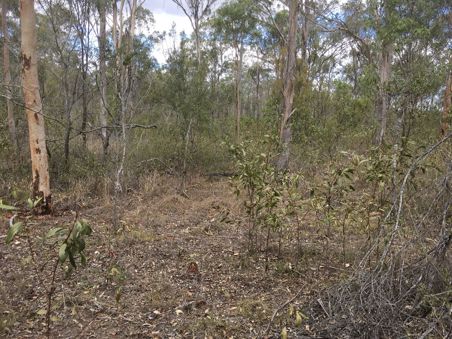 Lot 2 Noora Rd, Yarraman QLD 4614, Image 1