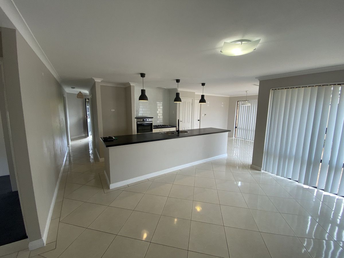 17 Edenbrook Terrace, Clarkson WA 6030 House For Rent 700 Domain