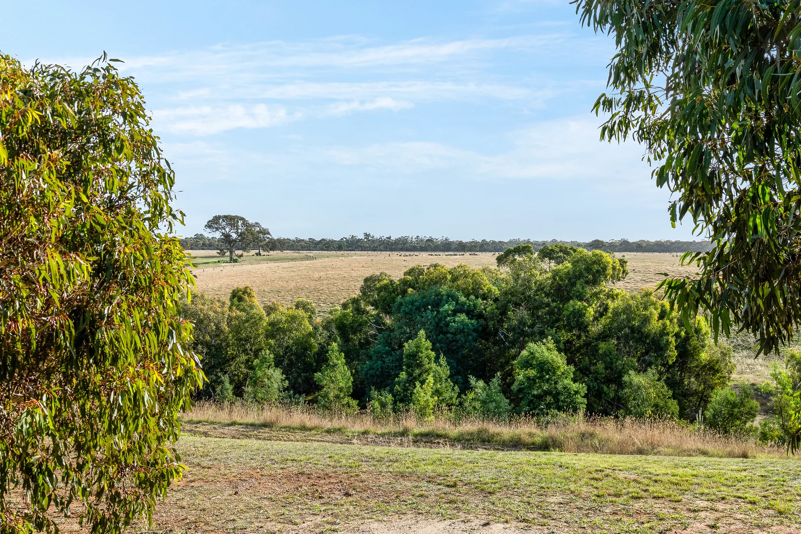 Additional image 18 of 50 Rosemond Way, Bannockburn VIC 3331
