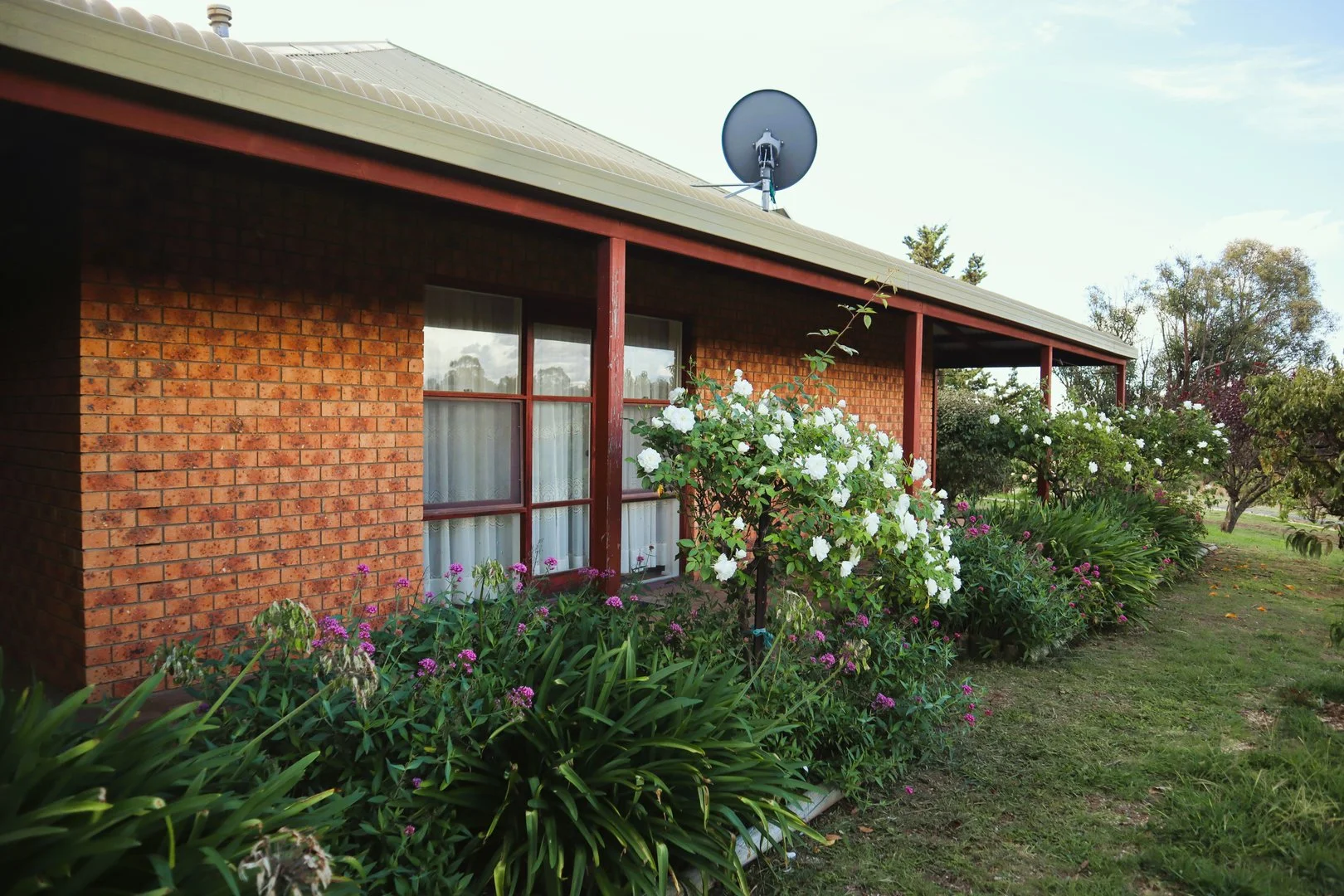 Image 28