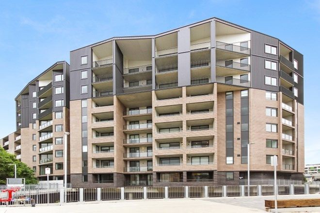 986 Rental Properties In Summer Hill Nsw 2130 Domain