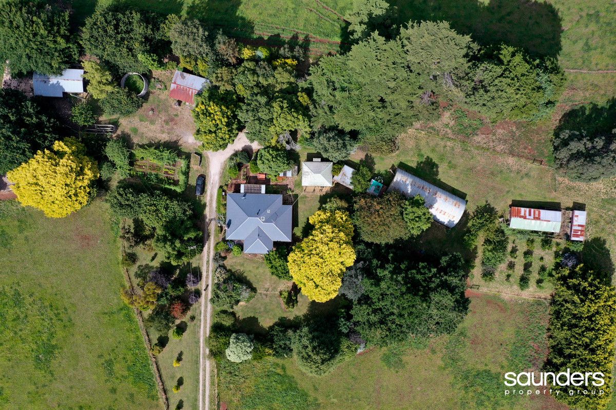 461 Bridport Road, Jetsonville TAS 7260, Image 2