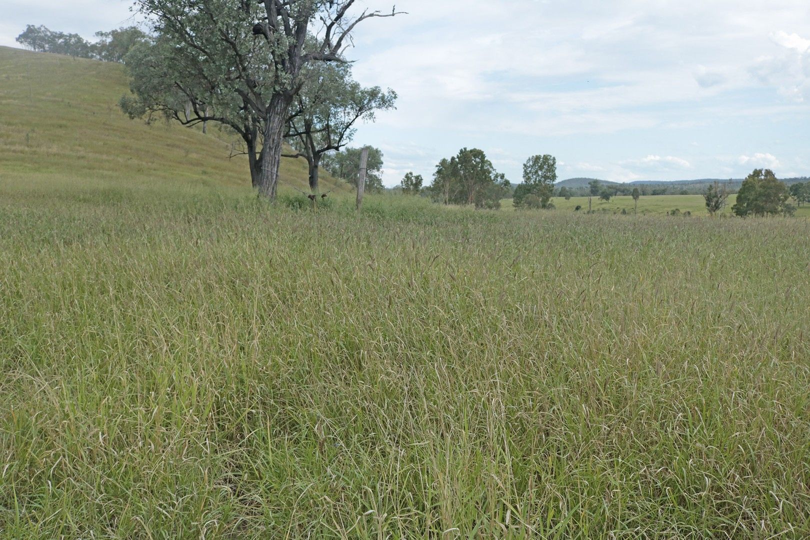 Mundubbera QLD 4626, Image 0