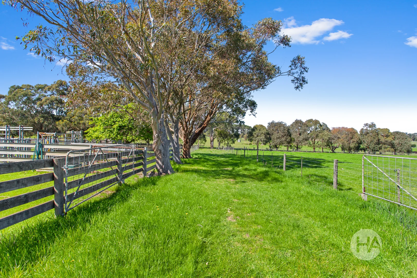 Additional image 15 of 155 Stumpy Gully Road, Balnarring VIC 3926