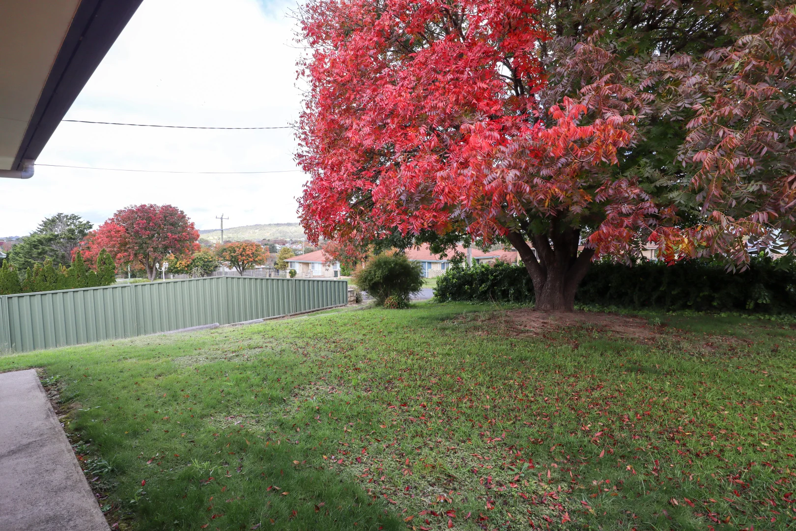 Additional image 12 of 54 Petre Street, Tenterfield NSW 2372