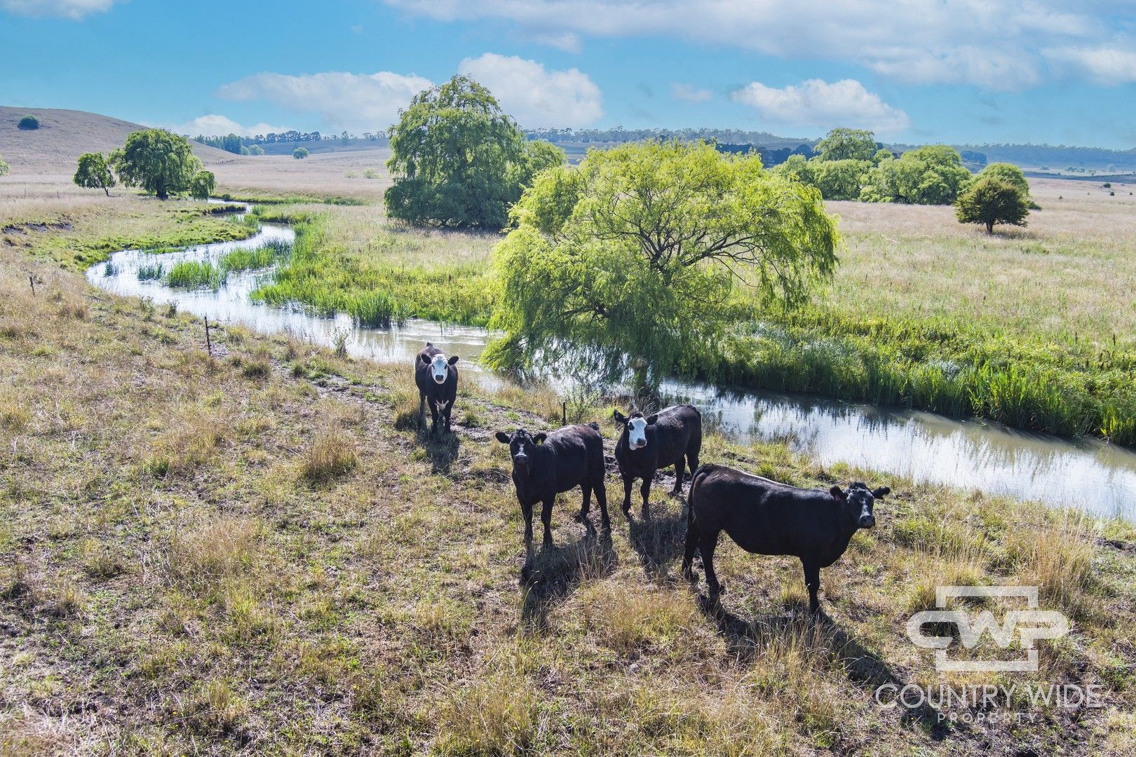 1 Doolan Road, Glen Innes NSW 2370, Image 1