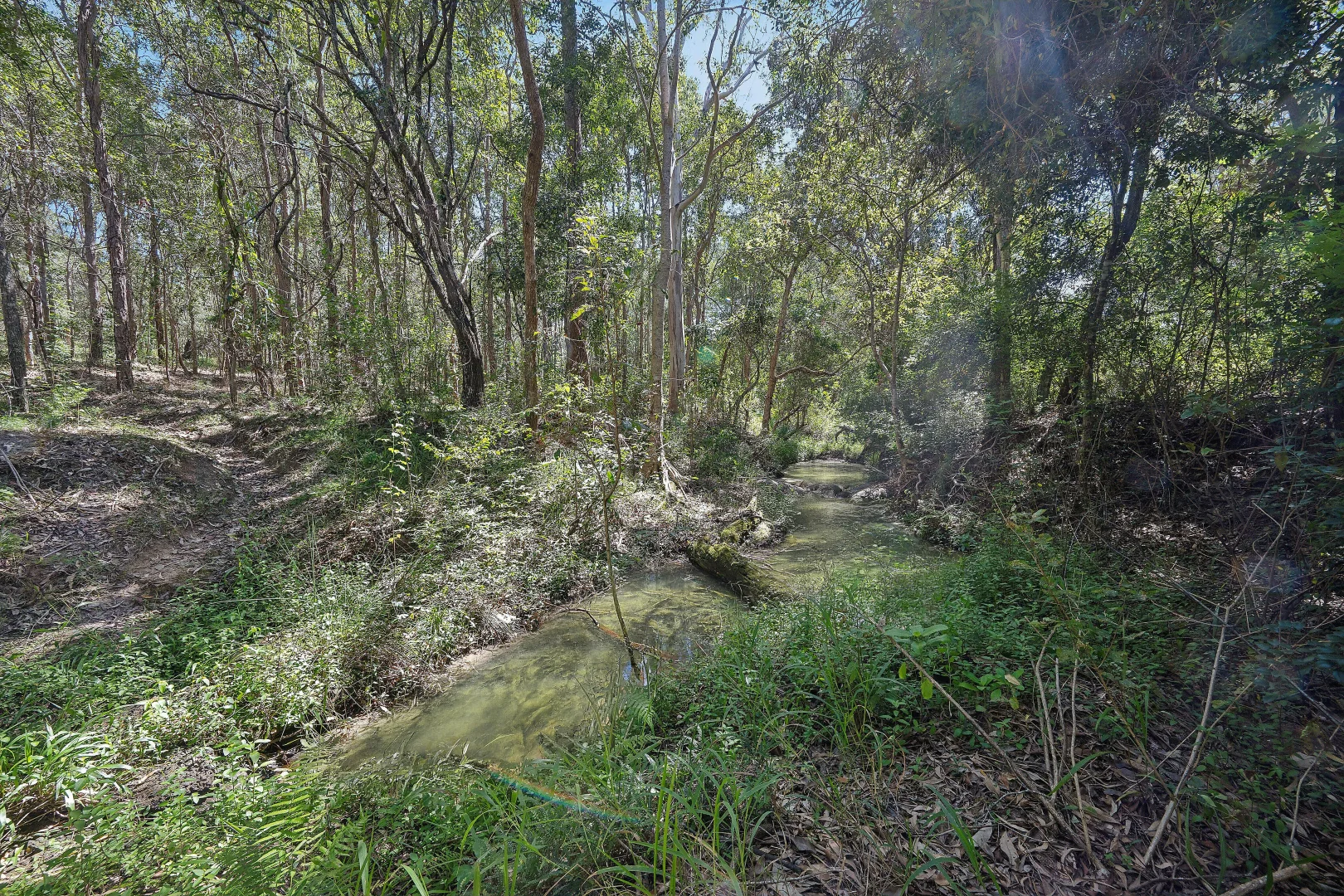 Image 28