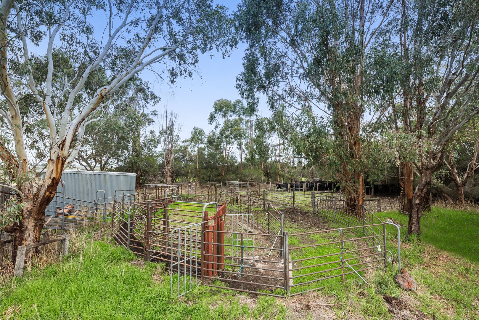 4165 Cape Otway Road, Birregurra VIC 3242, Image 1