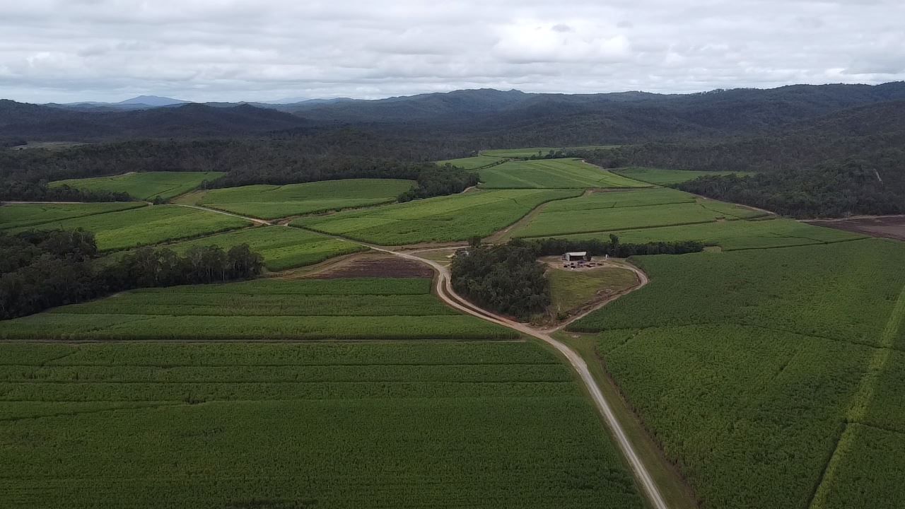 Wetherby Road Farm Wetherby Road, Julatten QLD 4871 Specialist Farm