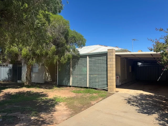 45 Hazeldene St, Mildura VIC 3500