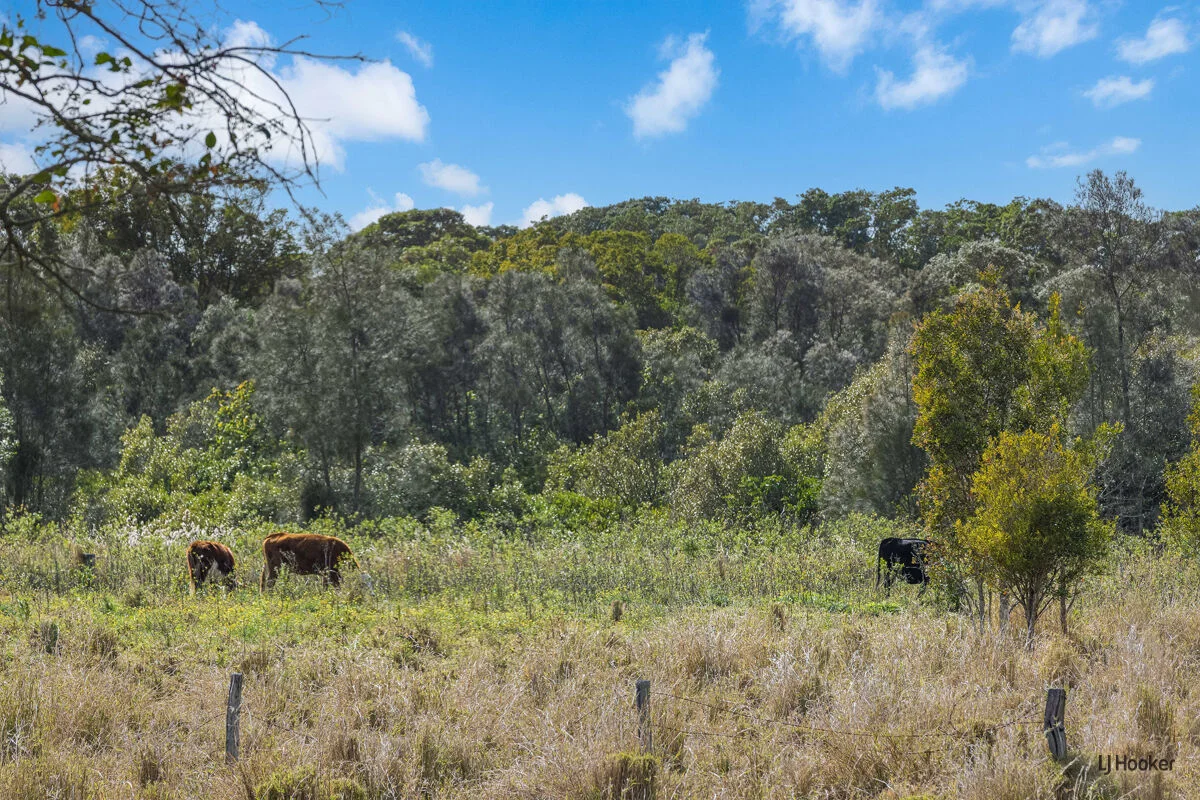 Additional image 12 of 25 Lilly Pilly Drive, Banora Point NSW 2486