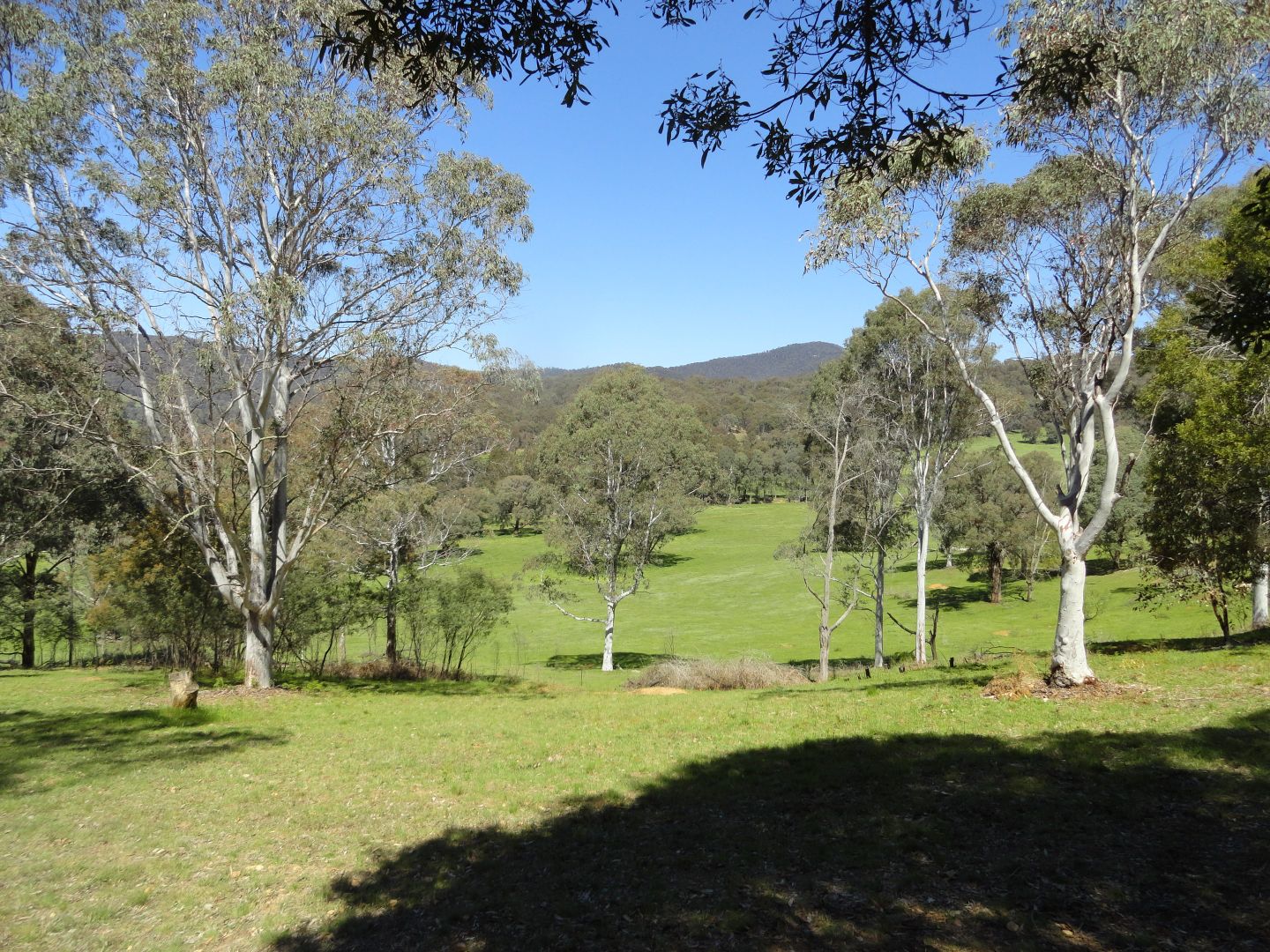 Lot 1 Bunroy Road, Biggara VIC 3707, Image 1