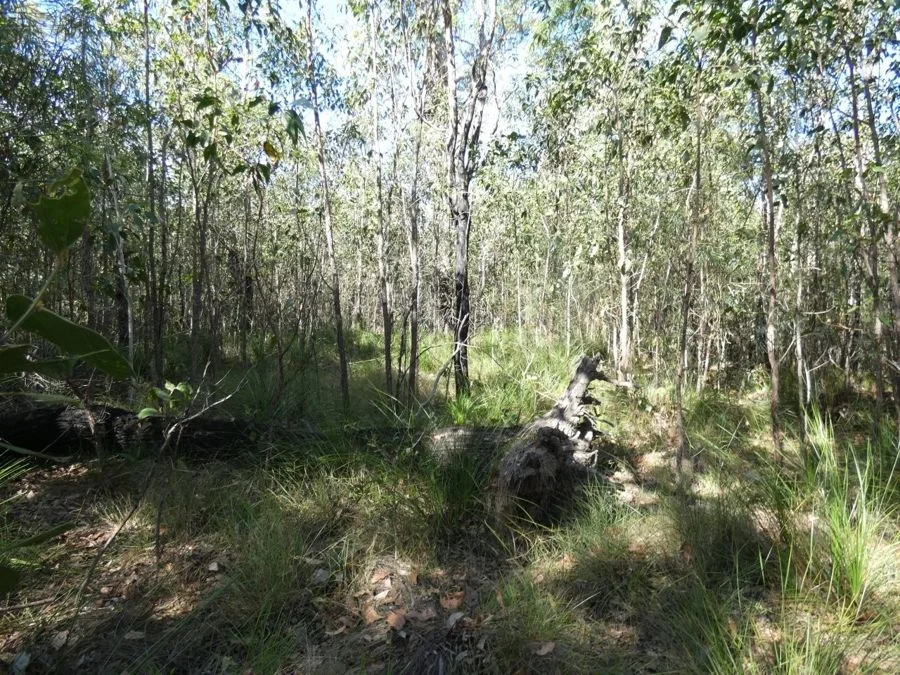 Additional image 32 of 960 Pacific Drive, Deepwater QLD 4674