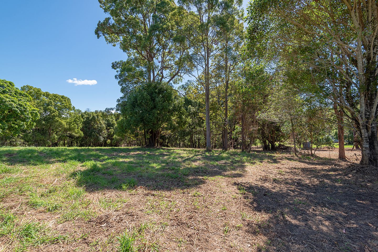 Vacant land in 117 Garnet Street, COOROY QLD, 4563