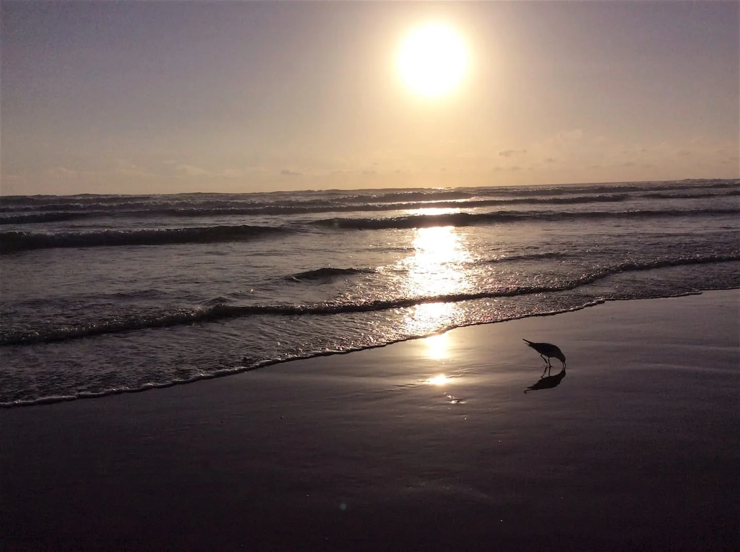 Additional image 10 of 5 Arnott St, Tarwin Lower VIC 3956