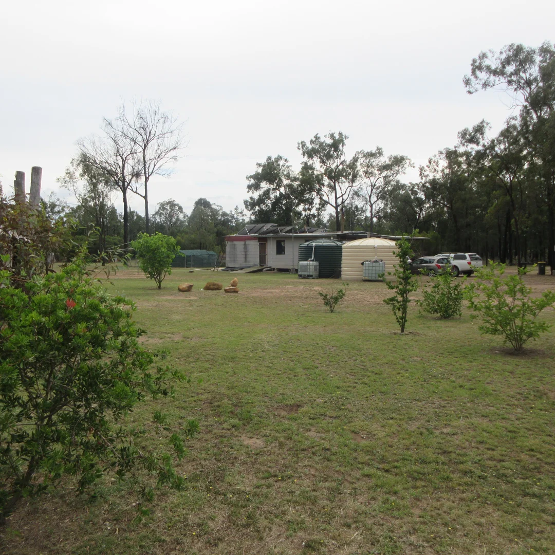 Image 10