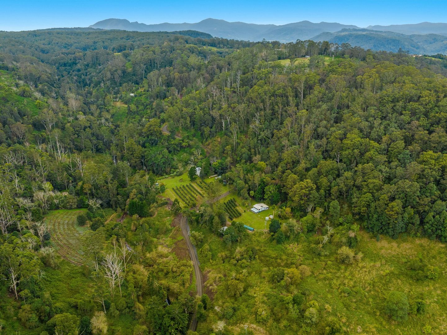 280 Davis Road, Jiggi NSW 2480 House for Sale Domain