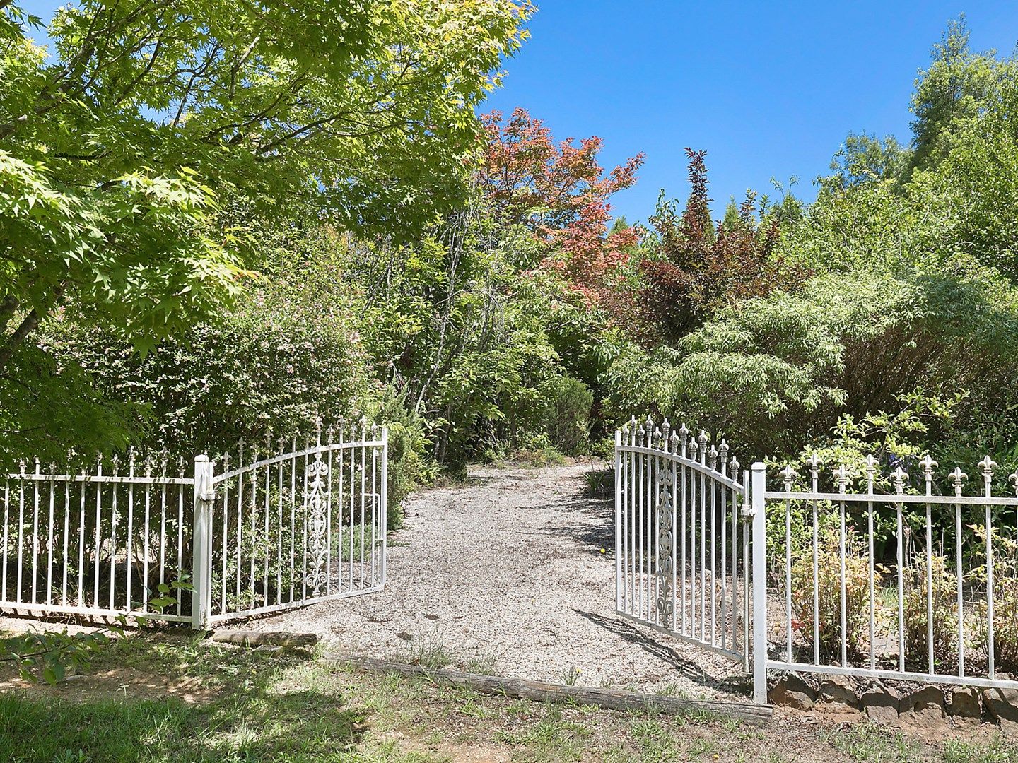 6 Edward Parade, Wentworth Falls NSW 2782, Image 0