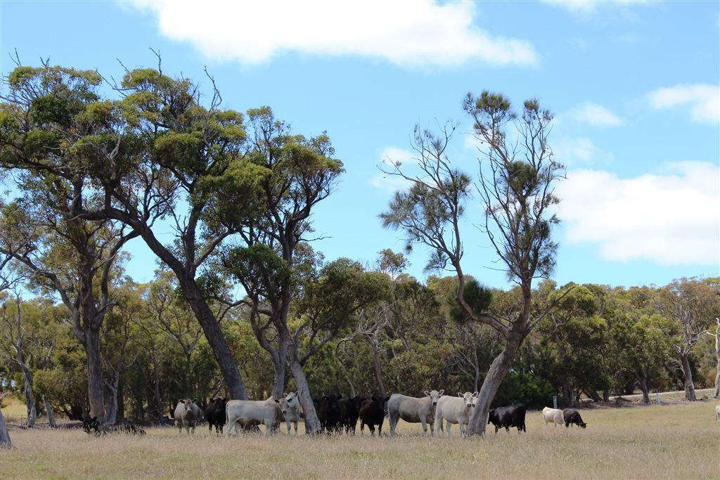 Albany WA 6330, Image 2