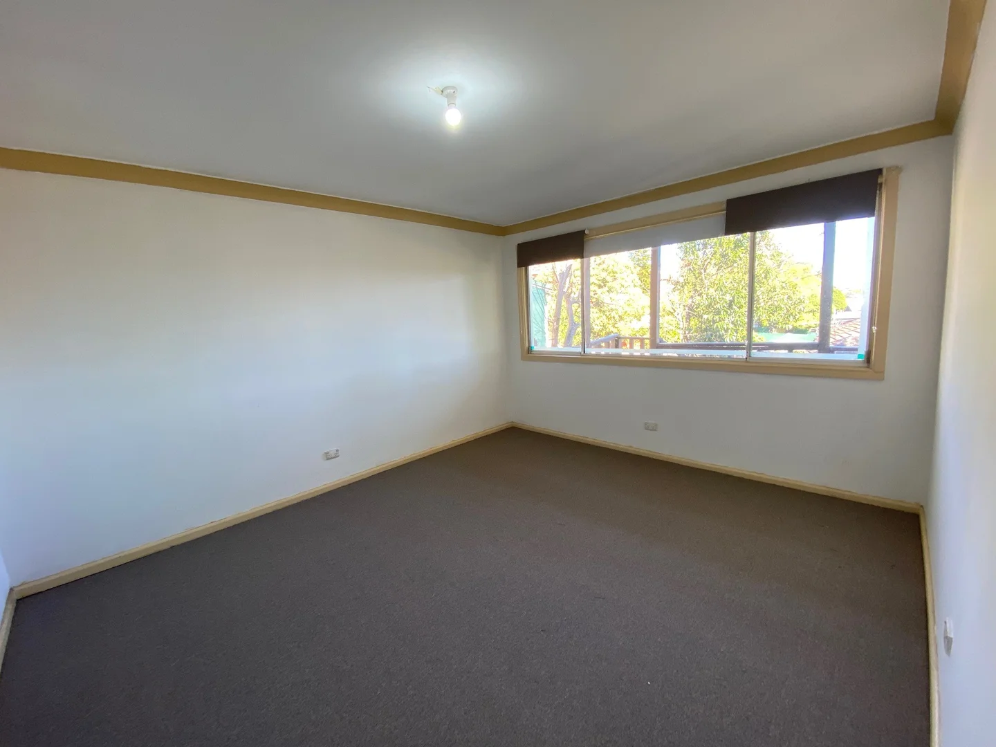 Additional image 3 of 127 Homer Street, Earlwood NSW 2206
