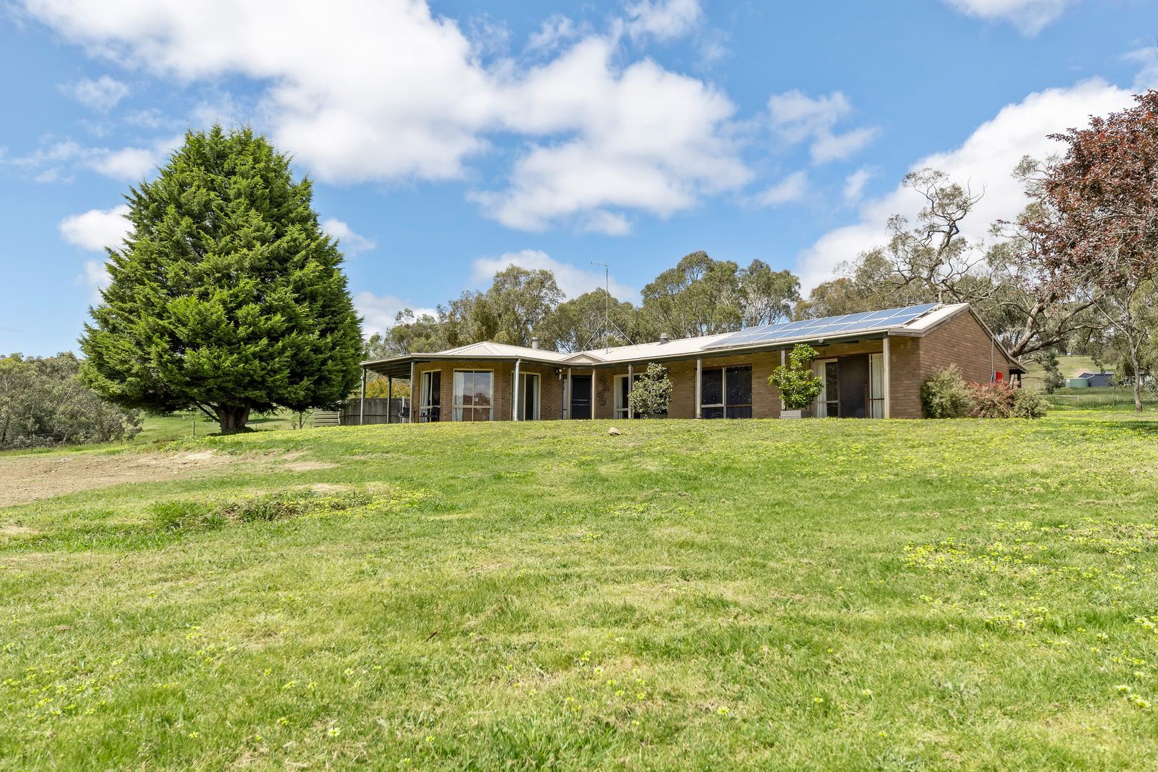 375 Reedy Creek Road, Reedy Creek VIC 3658, Image 1