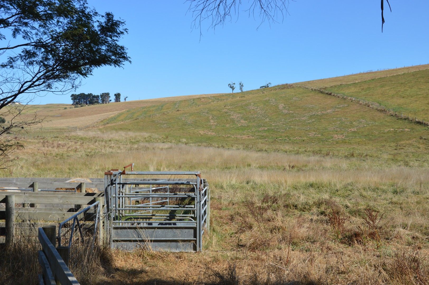 Rural in 800 NERRENA Road, NERRENA VIC, 3953