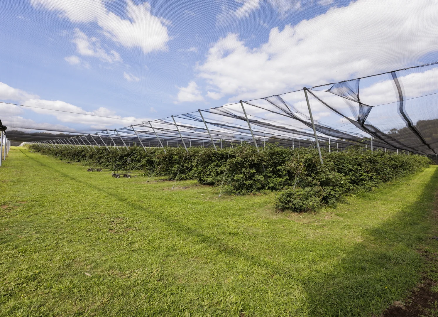 Additional image 23 of 1363 Whittlesea Yea Road, Kinglake West VIC 3757