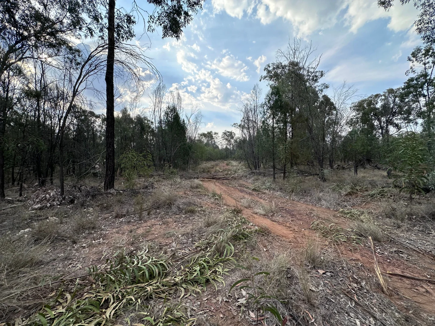 Image 10