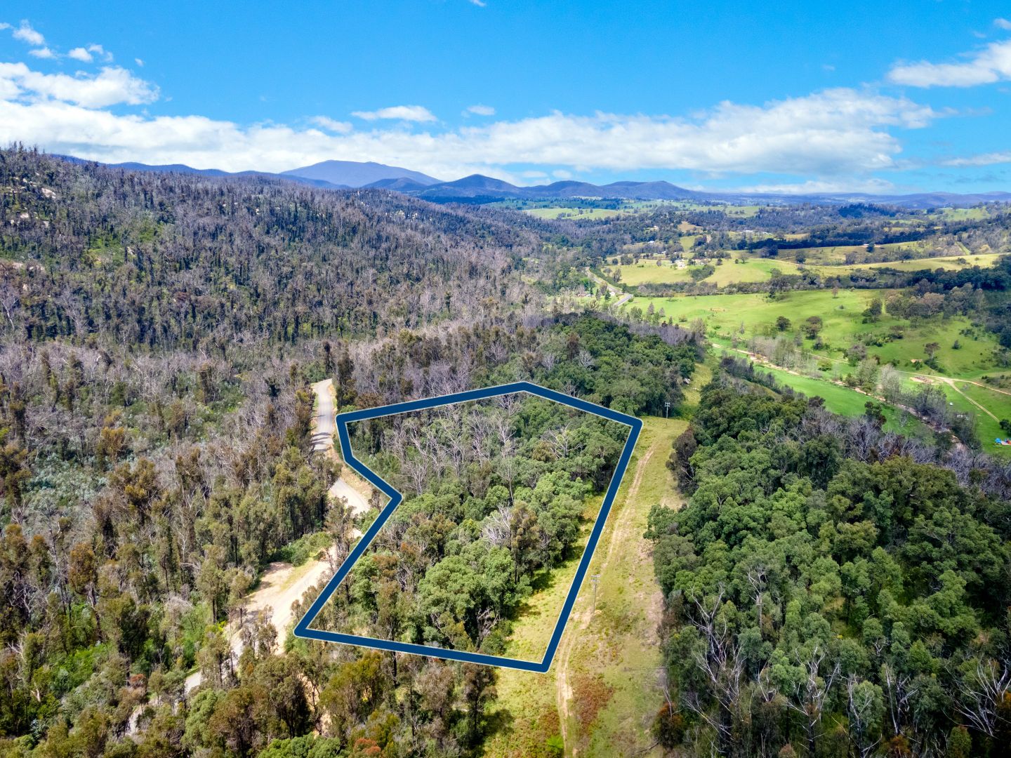 909 Yowrie Road, Yowrie NSW 2550, Image 1