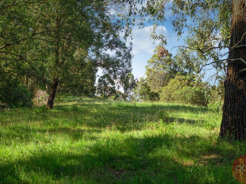 70 Browns Road, Black Hill NSW 2322, Image 2