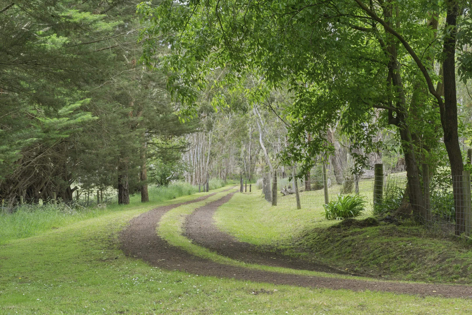 Additional image 15 of 340 Old Cobden-Port Campbell Road, Jancourt VIC 3266