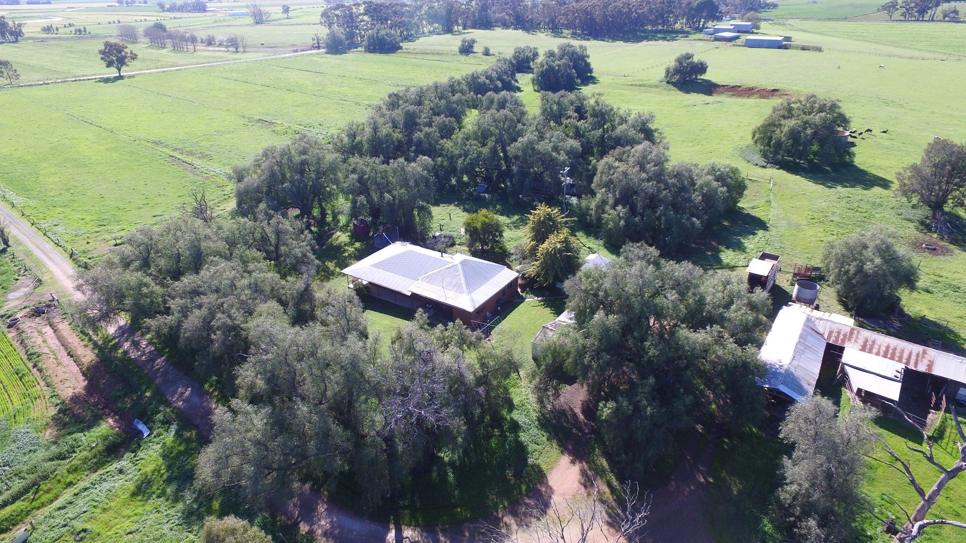 2009 McBain Rd, Koyuga VIC 3622, Image 0