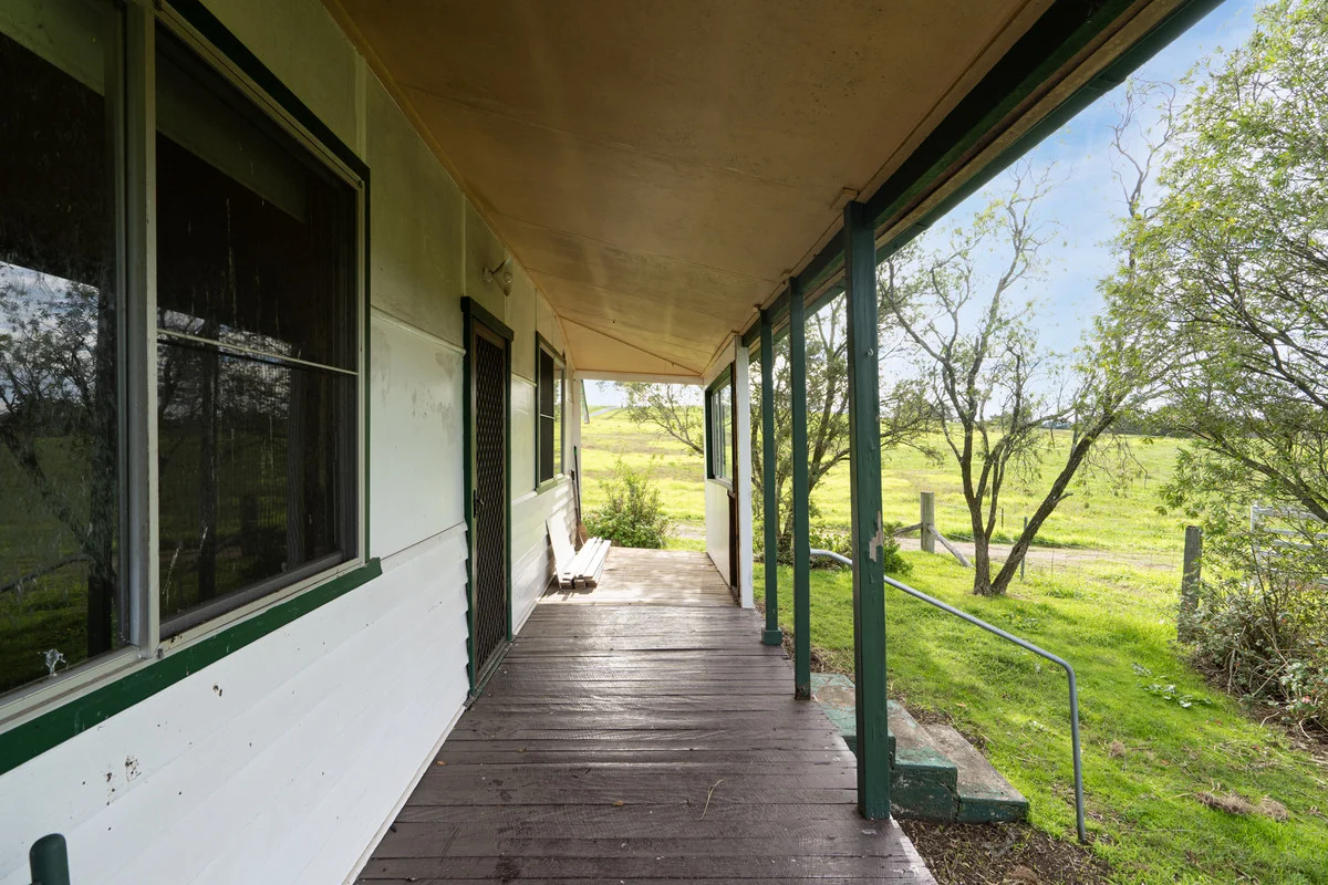 Image 14