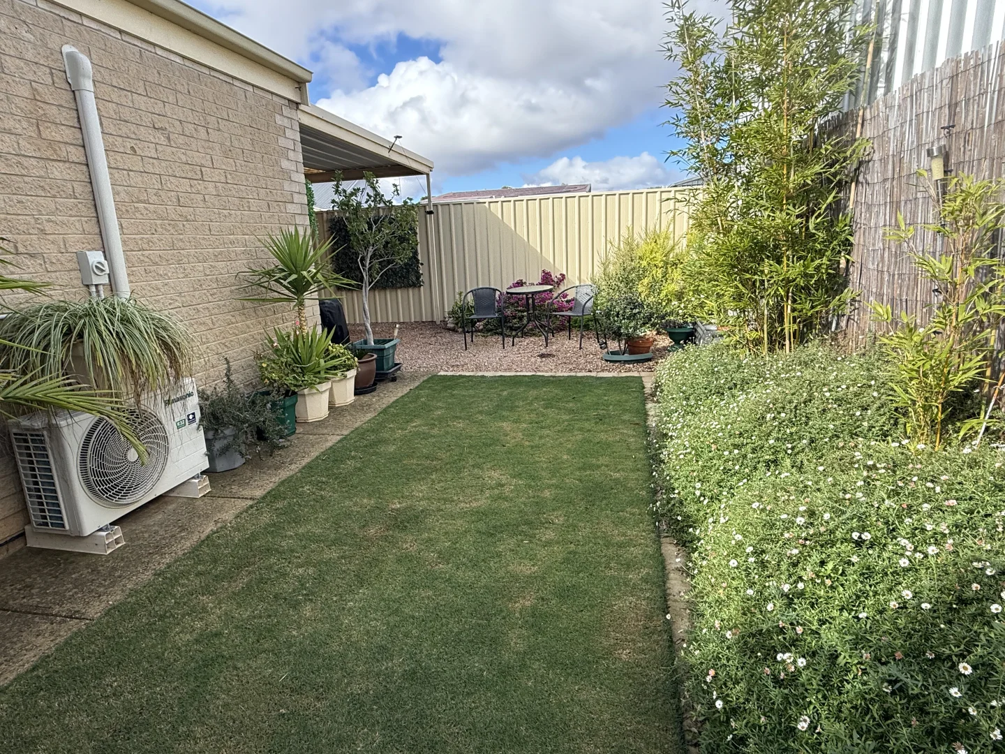 Image 14