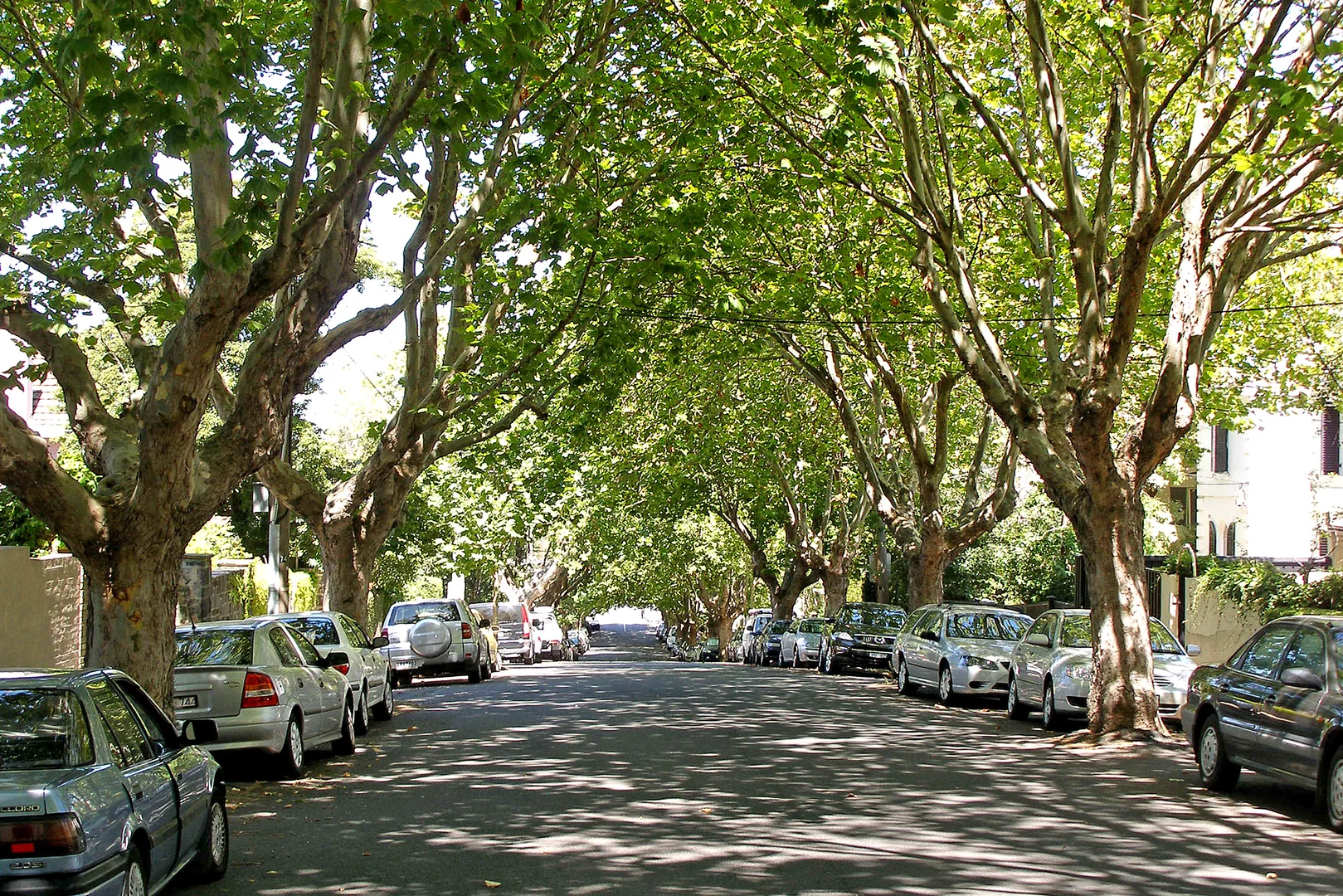 Additional image 6 of 16/87 Caroline Street, South Yarra VIC 3141