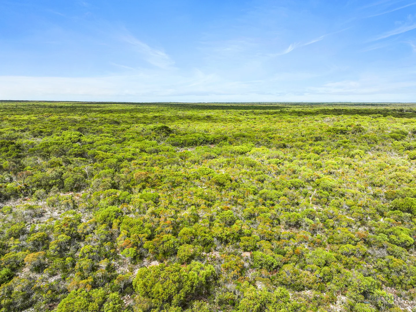 Additional image 9 of Sect. 230 Levens Road, Warooka SA 5577