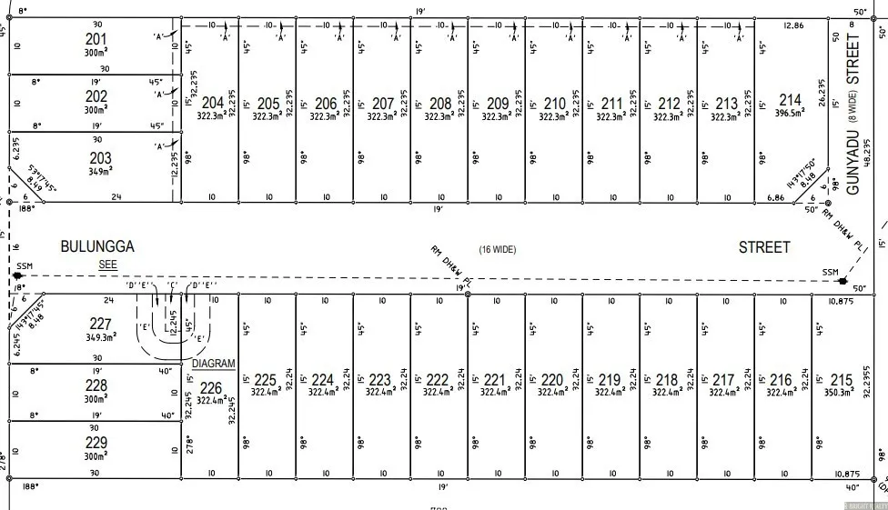 Amazing Land Opportunity in Austral - Widok 2