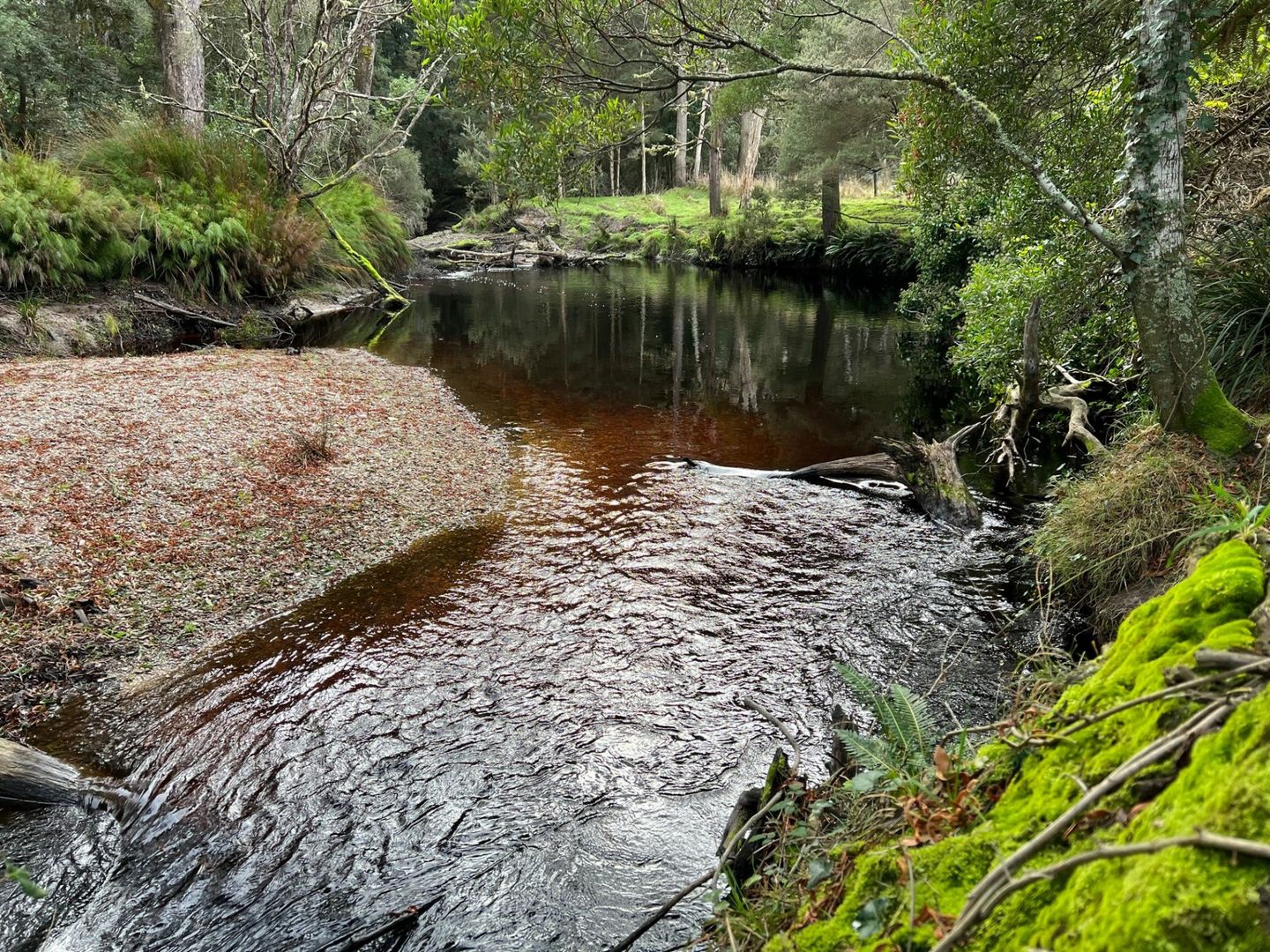 Lot 2 Coopers Road, Rocky Cape TAS 7321 House for Sale Domain