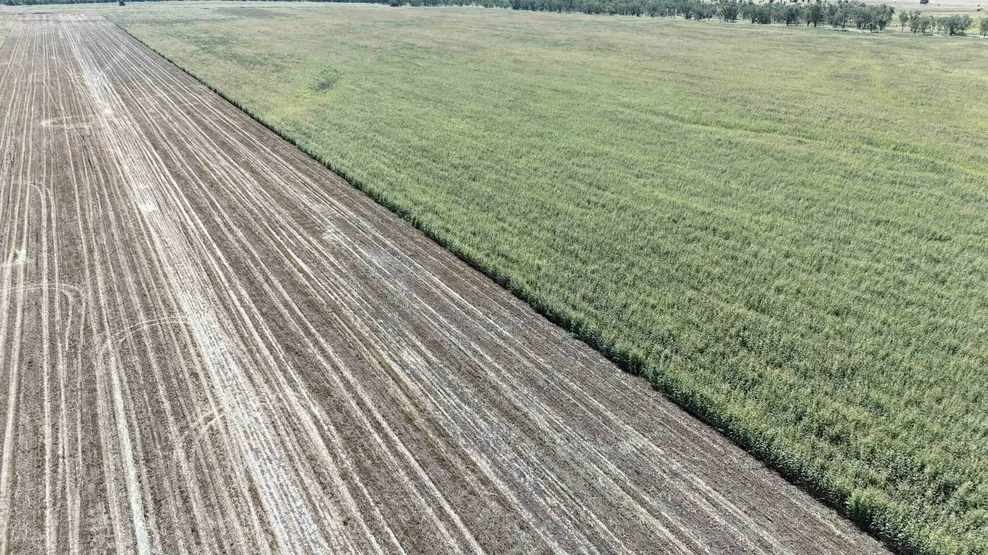 Additional image 15 of 2687 Dawson Developmental Road, Springsure QLD 4722