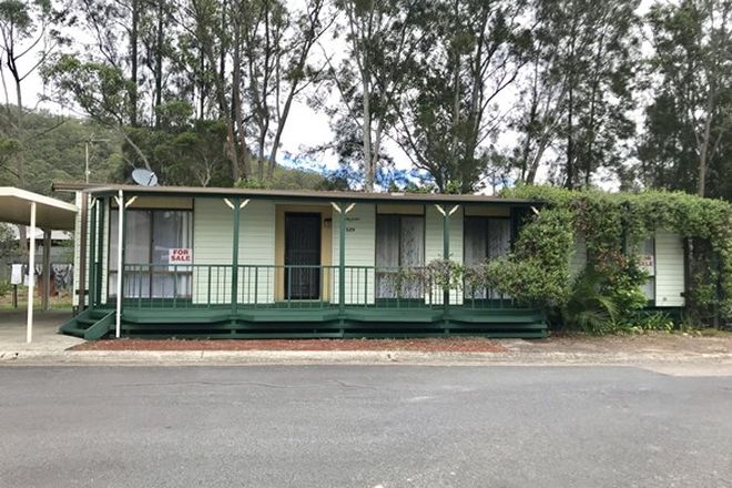 Picture of S29 Broadlands 9 Milpera Road, GREEN POINT NSW 2251