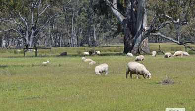 Picture of Fyans Creek Road, FYANS CREEK VIC 3381