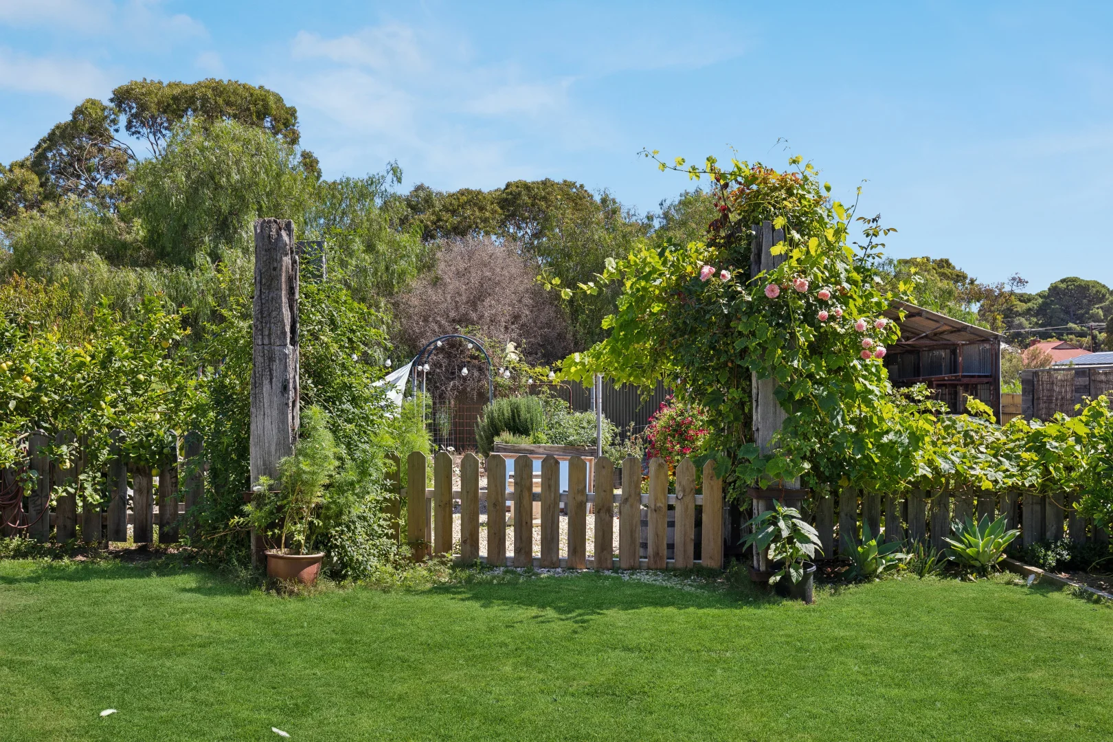 Image 22