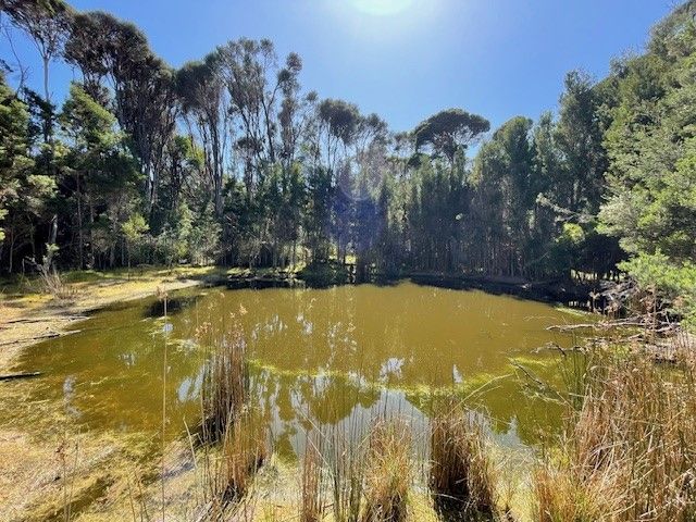 00 Fraser Rd, Pegarah TAS 7256, Image 0