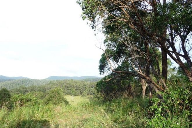 Picture of 121 Pocket Road, NUMINBAH VALLEY QLD 4211