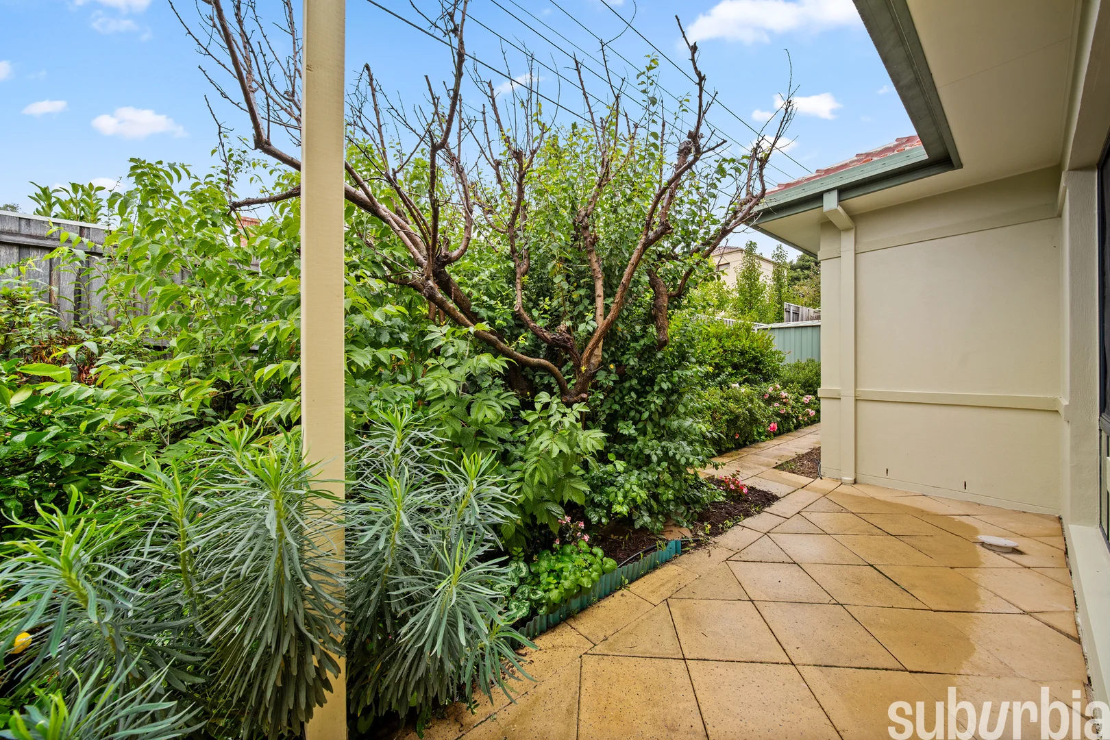 Additional image 18 of 4/19 Chisholm Street, Ainslie ACT 2602