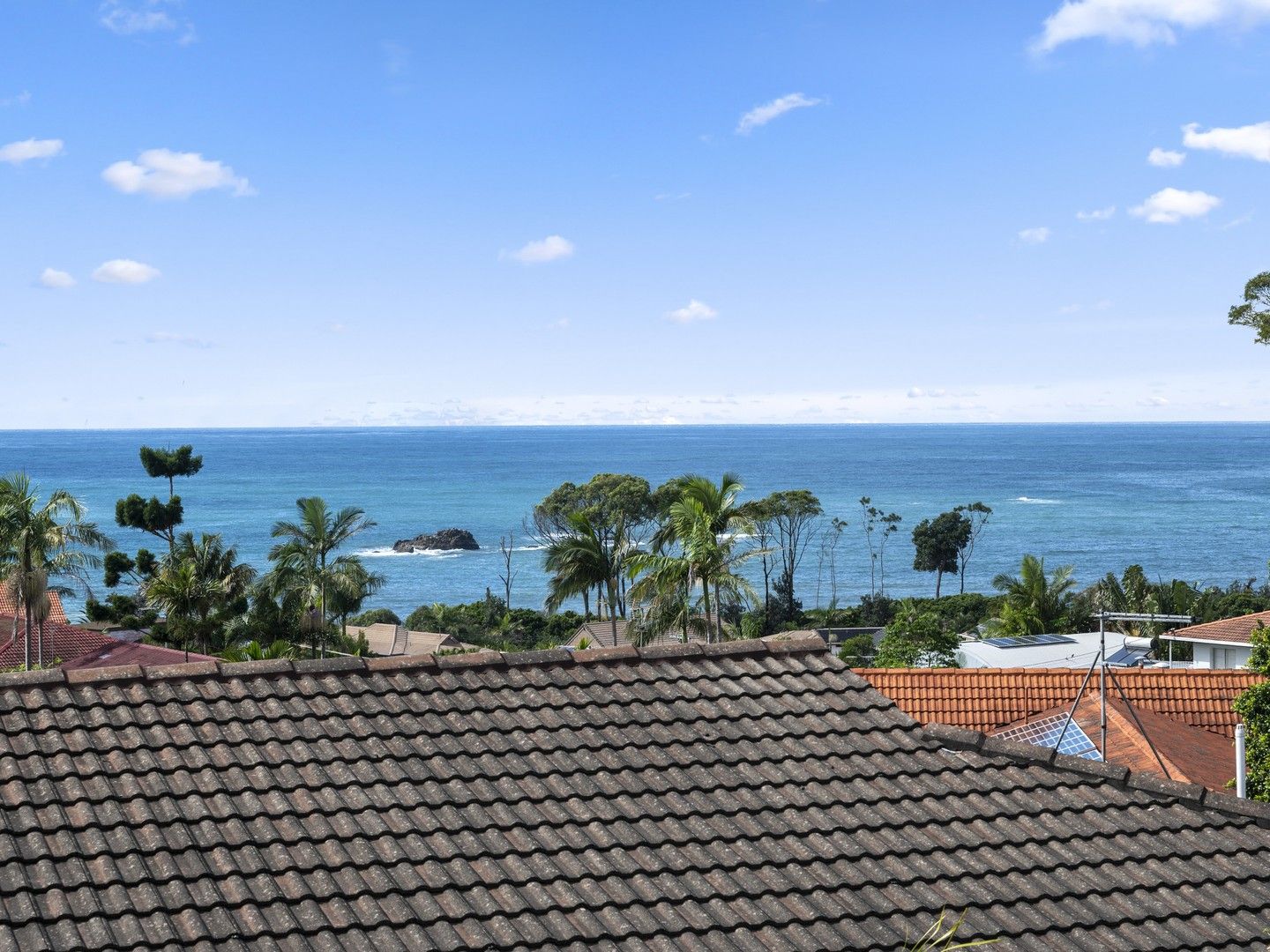 1/1 Sandy Beach Road, Korora NSW 2450 Domain