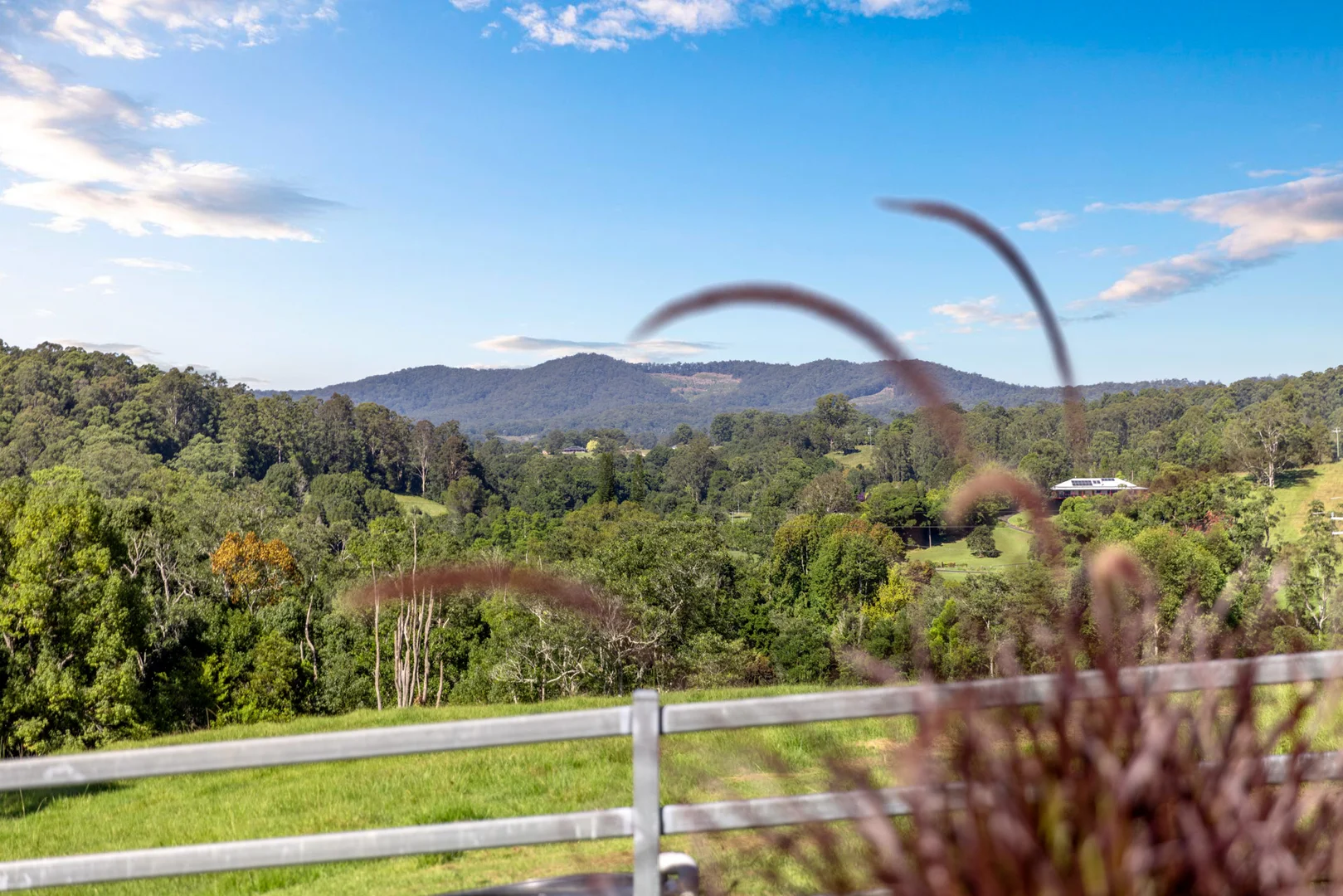 Additional image 12 of 423 Hydes Creek Road, Bellingen NSW 2454
